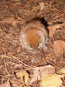 2001.10.27 14.35.58.jpg